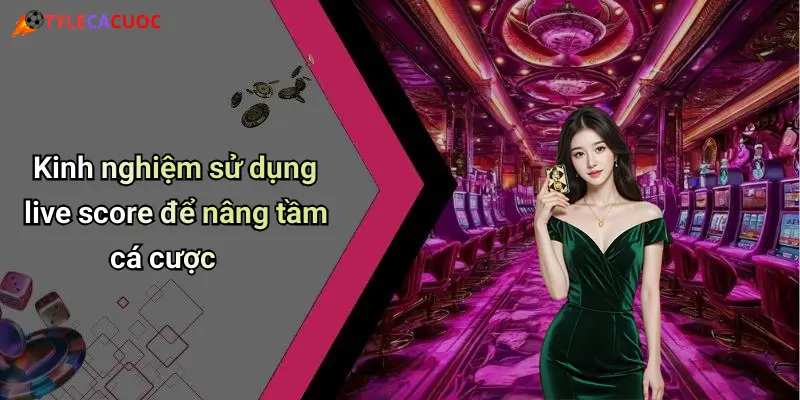Kinh nghiệm sử dụng live score để nâng tầm cá cược