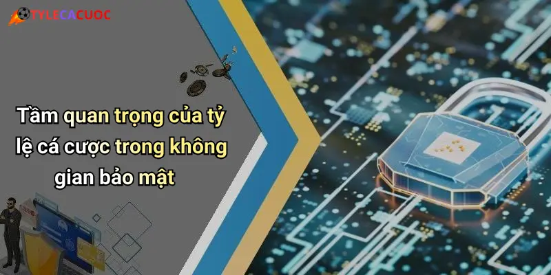 Tầm quan trọng của tỷ lệ cá cược trong không gian bảo mật