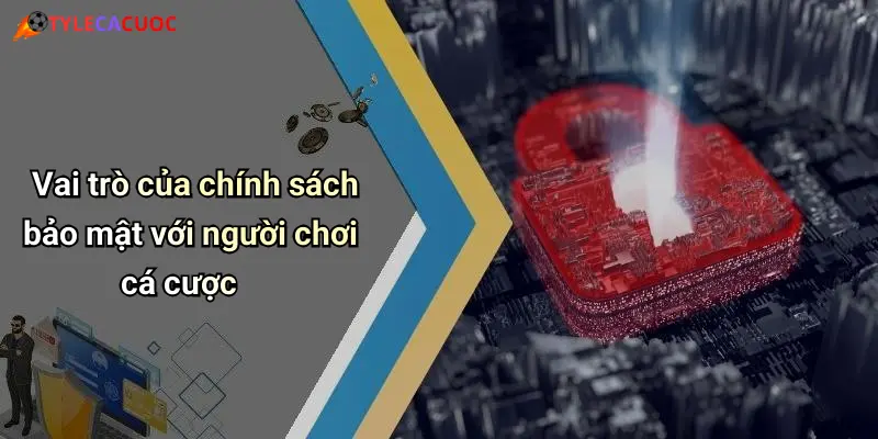 Vai trò của chính sách bảo mật với người chơi cá cược